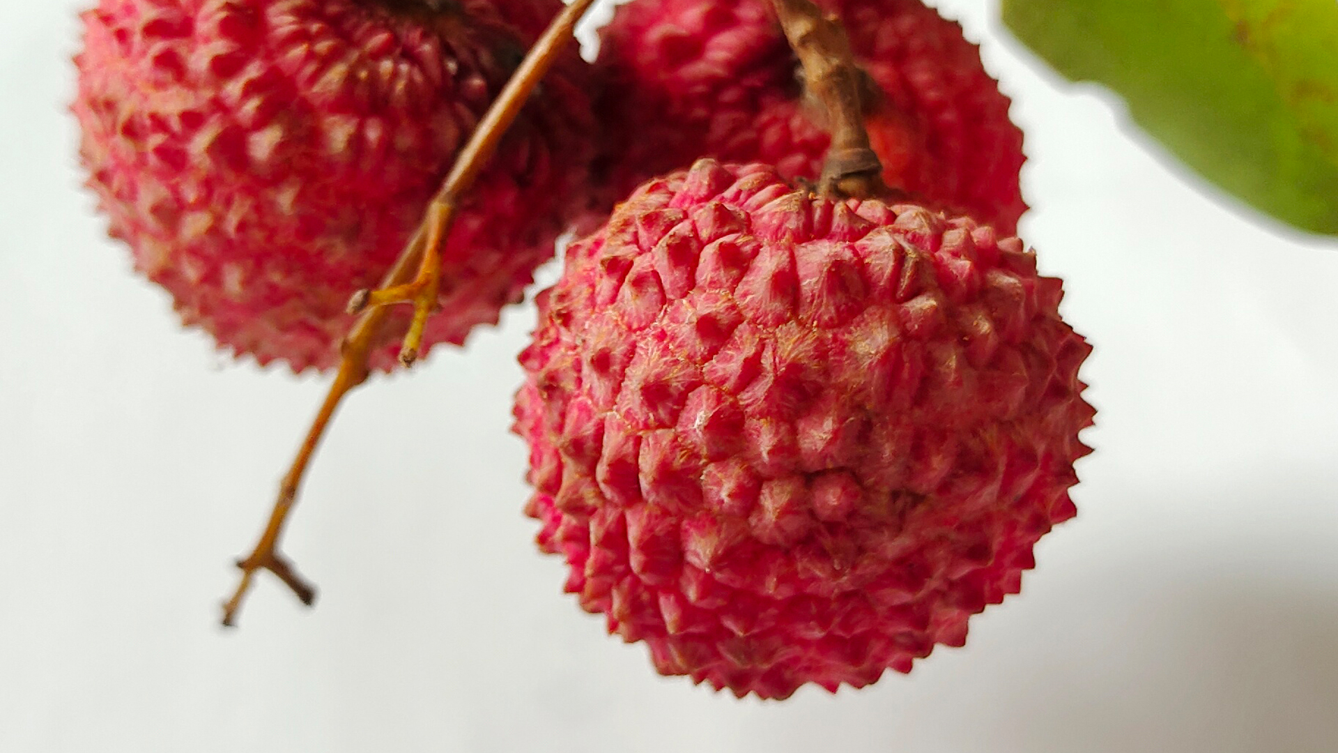 水果盒包装设计-荔枝盒